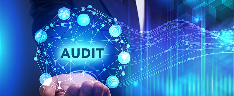 information technology audit